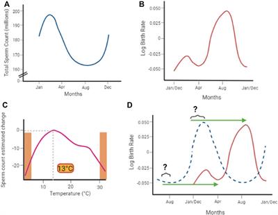 Global warming and testis function: A challenging crosstalk in an equally challenging environmental scenario